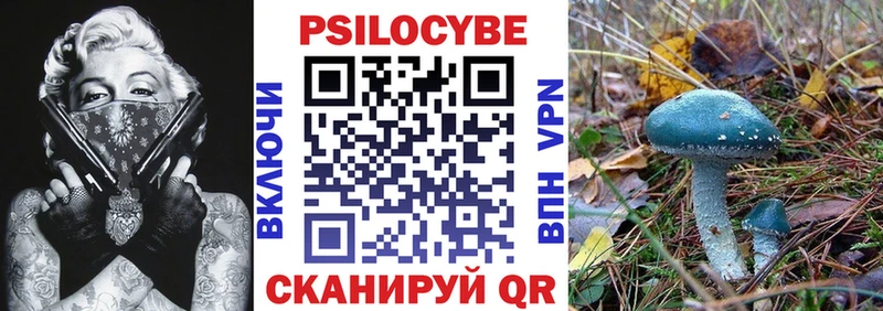 Псилоцибиновые грибы Cubensis Краснодар